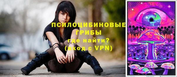 соль ск Вяземский