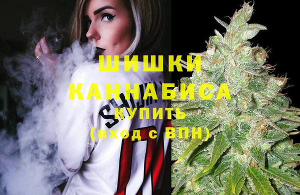 МДПВ Вязьма