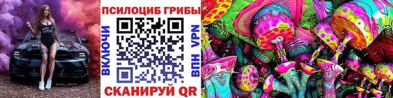 Галлюциногенные грибы GOLDEN TEACHER  купить закладку  Калининград 